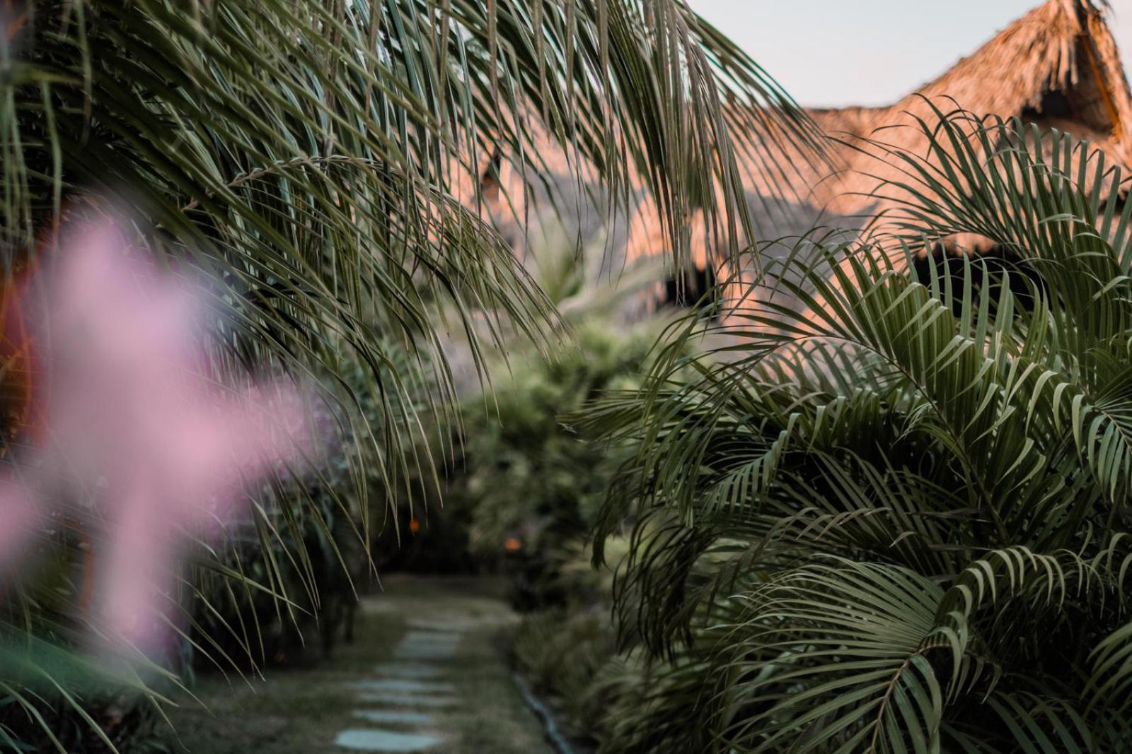 Swell Hotel El Paredon Buena Vista Ngoại thất bức ảnh